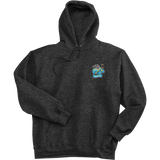 Atlantic City Seals Super Heavyweight Fleece Hoodie